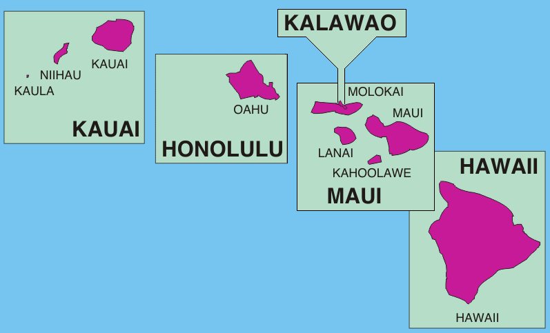 HAWAII covid-19 data map