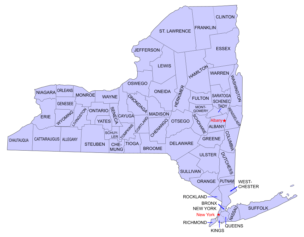 NEW YORK covid-19 data map